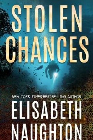 Cover of Stolen Chances