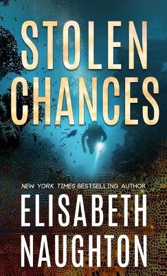 Book cover for Stolen Chances