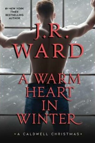 Cover of A Warm Heart in Winter