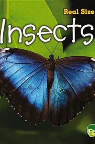 Cover of Insects: Real Size Science (Real Size Science)