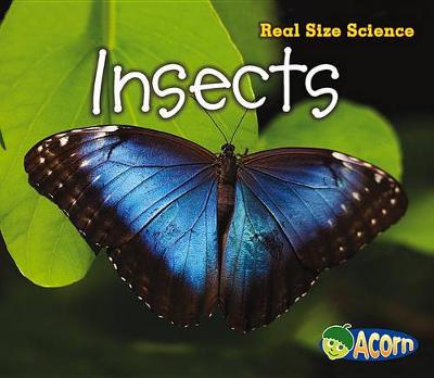 Book cover for Insects: Real Size Science (Real Size Science)