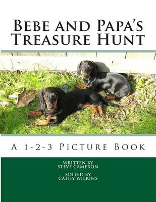 Book cover for Bebe and Papa's Treasure Hunt