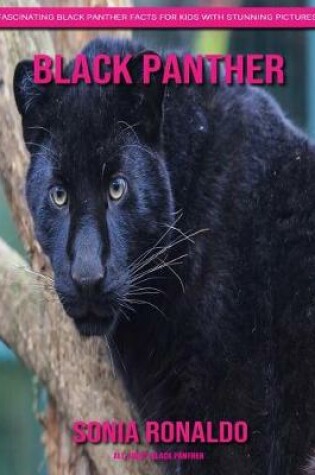 Cover of All About Black Panther