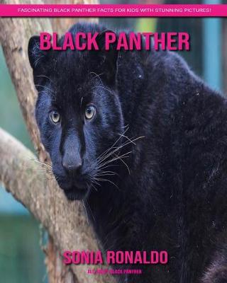 Book cover for All About Black Panther