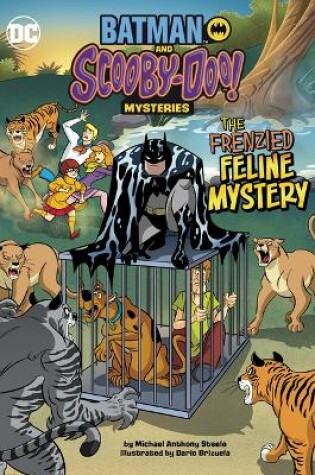 Cover of The Frenzied Feline Mystery