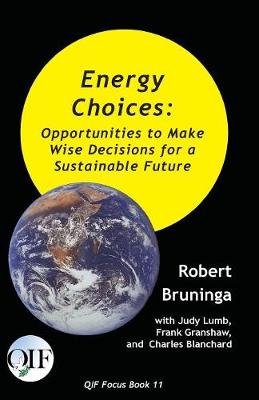 Book cover for Energy Choices