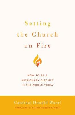 Book cover for Setting the Church on Fire