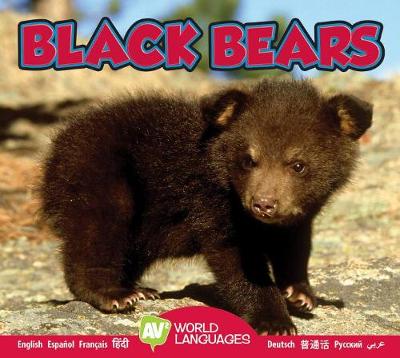 Book cover for Black Bears