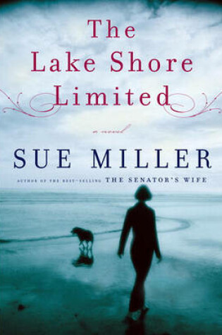 Cover of The Lake Shore Limited