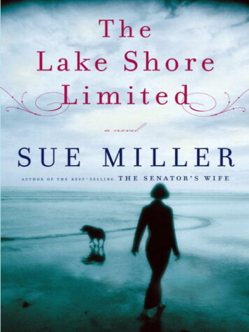 Book cover for The Lake Shore Limited