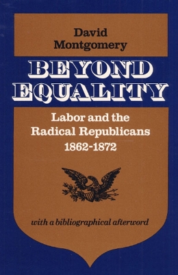 Book cover for Beyond Equality