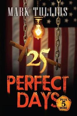 Book cover for 25 Perfect Days