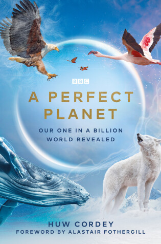 Cover of A Perfect Planet