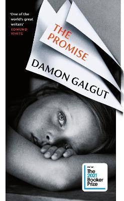 Book cover for The Promise