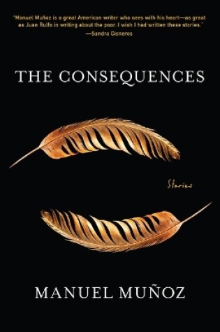Cover of The Consequences
