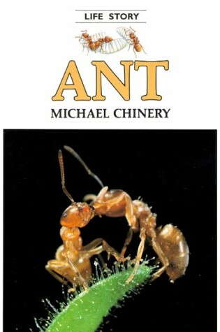 Cover of Ant