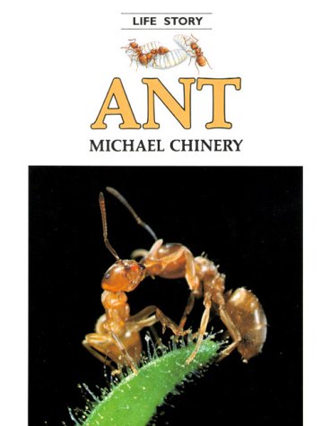 Book cover for Ant