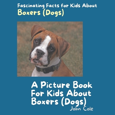 Book cover for A Picture Book for Kids About Boxers (Dogs)