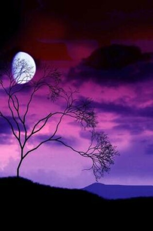 Cover of The Moon Shining on a Purple Sky