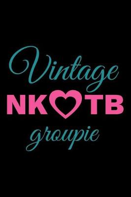 Book cover for Vintage NKOTB Groupie
