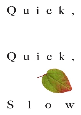 Cover of Quick Quick Slow