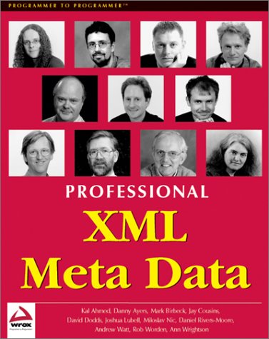 Book cover for Professional XML Meta Data