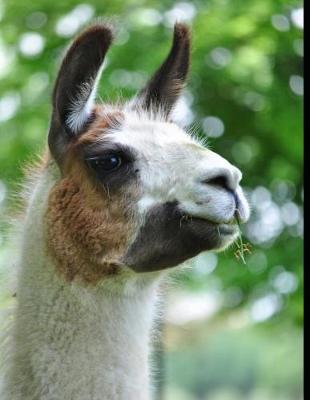 Book cover for Llama Lovers Notebook