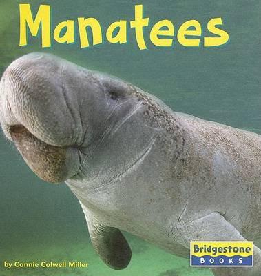 Book cover for Manatees