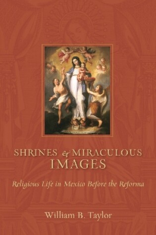 Cover of Shrines and Miraculous Images