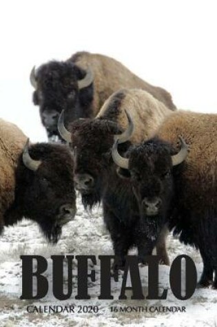 Cover of Buffalo Calendar 2020