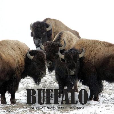 Book cover for Buffalo Calendar 2020