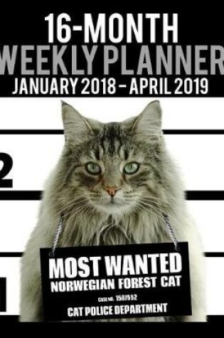 Cover of 2018-2019 Weekly Planner - Most Wanted Norwegian Forest Cat