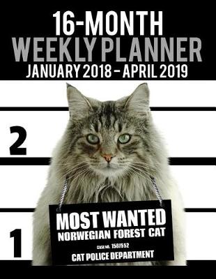 Cover of 2018-2019 Weekly Planner - Most Wanted Norwegian Forest Cat