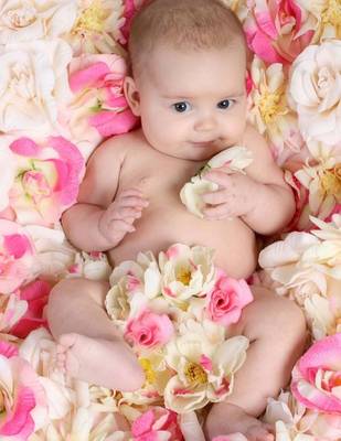 Book cover for Jumbo Oversized Cute Baby in a Bed of Flowers