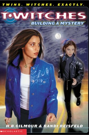 Cover of Building a Mystery