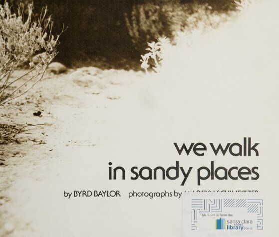 Book cover for We Walk in Sandy Places