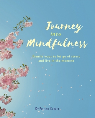 Book cover for Journey into Mindfulness