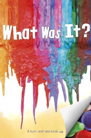 Cover of What Was It?