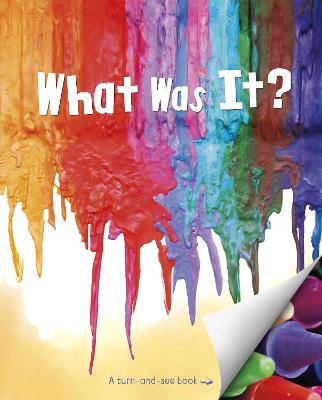 Book cover for What Was It?