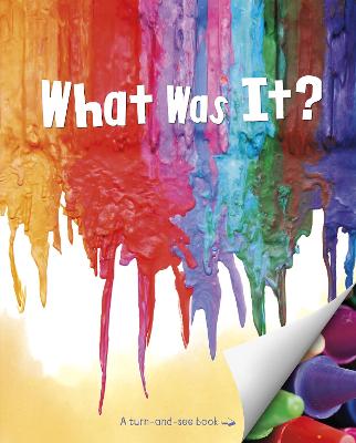 Cover of What Was It?