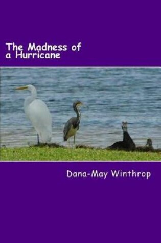 Cover of The Madness of a Hurricane