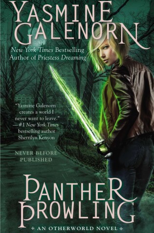 Cover of Panther Prowling