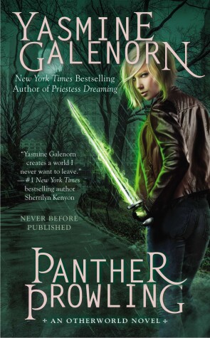 Book cover for Panther Prowling