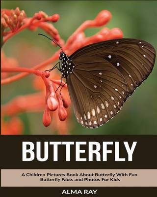 Cover of Butterfly