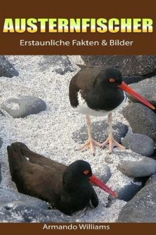 Cover of Austernfischer