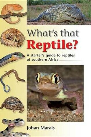 Cover of What's That Reptile?