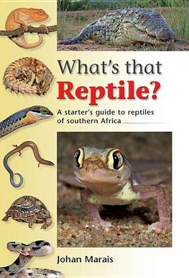 Book cover for What's That Reptile?