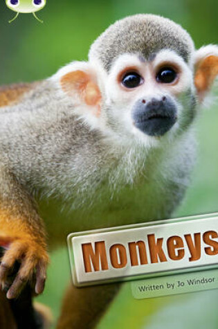 Cover of Bug Club Guided Non Fiction Year 3 White A Monkeys