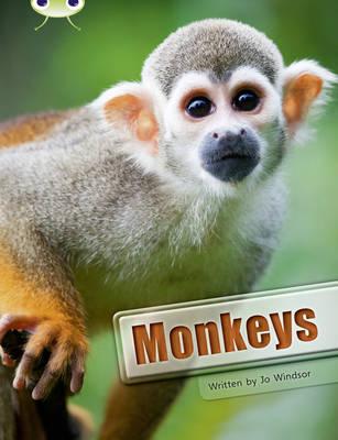 Cover of Bug Club Guided Non Fiction Year 3 White A Monkeys