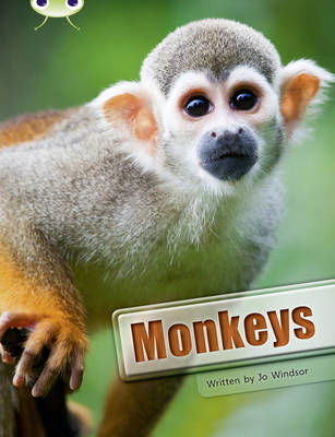 Book cover for Bug Club Guided Non Fiction Year 3 White A Monkeys